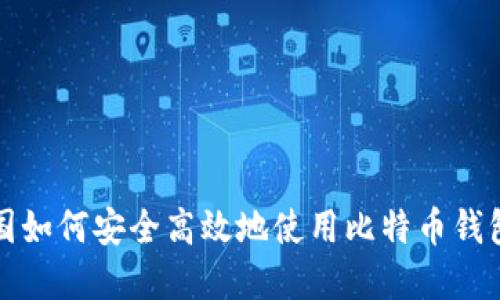 在中国如何安全高效地使用比特币钱包指南