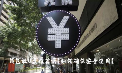 钱包放U盘推荐吗？如何确保安全使用？