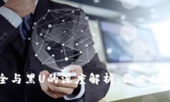 冷钱包安全与黑U的深度解