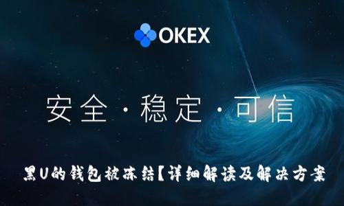 黑U的钱包被冻结？详细解读及解决方案
