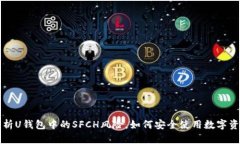 解析U钱包中的SFCH风险，如