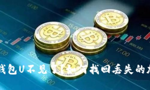 比特派钱包U不见了？如何找回丢失的加密资产