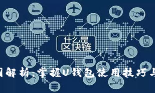 U钱包截图解析：掌握U钱包使用技巧与注意事项