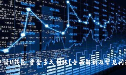 晚上申请U钱包，资金多久到账？全面解析及常见问题解答