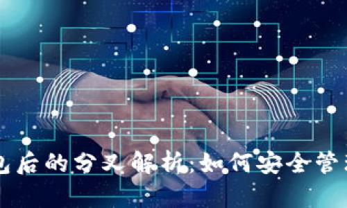 比特币放钱包后的分叉解析：如何安全管理你的比特币