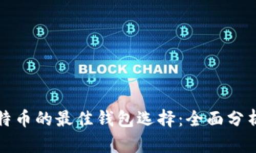 存储比特币的最佳钱包选择：全面分析与推荐