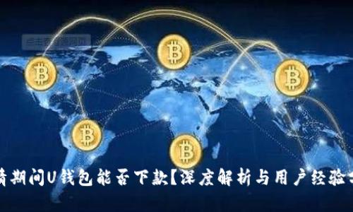 疫情期间U钱包能否下款？深度解析与用户经验分享