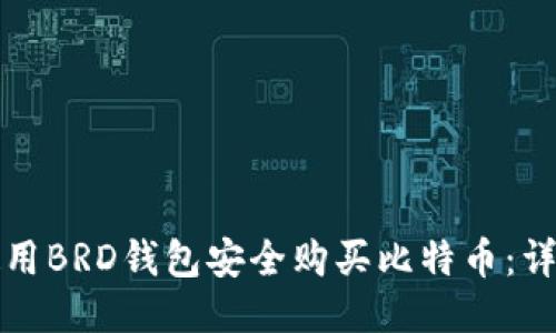 如何使用BRD钱包安全购买比特币：详细指南