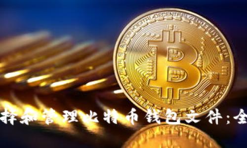 如何选择和管理比特币钱包文件：全面指南