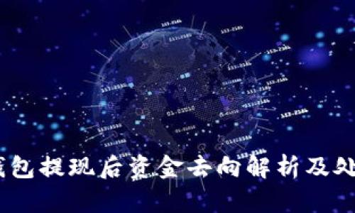 USDT钱包提现后资金去向解析及处理指南