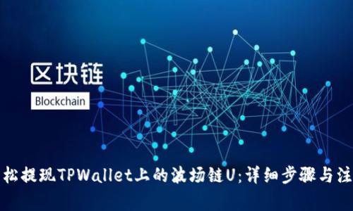 如何轻松提现TPWallet上的波场链U：详细步骤与注意事项