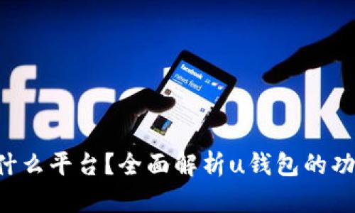 u钱包是什么平台？全面解析u钱包的功能与优势
