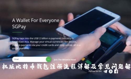 手机版比特币钱包注册流程详解及常见问题解答