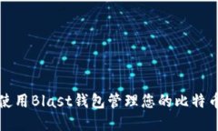 如何使用Blast钱包管理您的