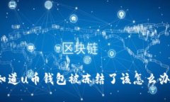 你知道u币钱包被冻结了该