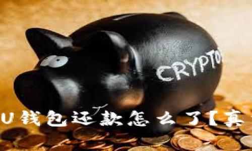 “我的点融U钱包还款怎么了？真相大揭秘！”
