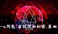 点融-u钱包：查征信的秘密