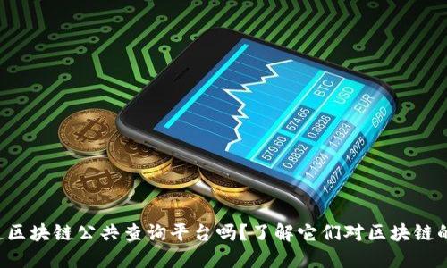 你知道区块链公共查询平台吗？了解它们对区块链的意义！