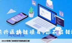 2023年新兴区块链项目，你