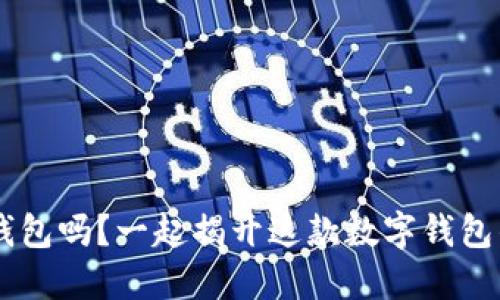 你了解u宝钱包吗？一起揭开这款数字钱包的神秘面纱！