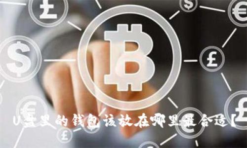 U盘里的钱包该放在哪里最合适？