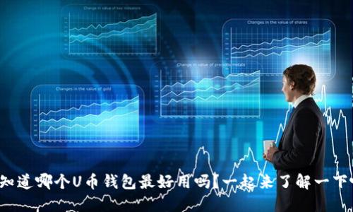 你知道哪个U币钱包最好用吗？一起来了解一下吧！