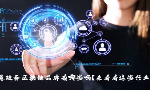 你知道政务区块链品牌有哪些吗？来看看这些行业先锋！