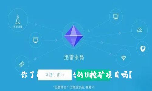 你了解tpWallet的U挖矿项目吗？