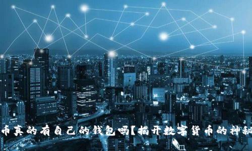 比特币真的有自己的钱包吗？揭开数字货币的神秘面纱