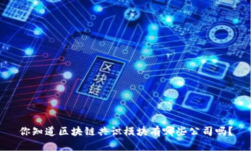 你知道区块链共识模块有哪些公司吗？