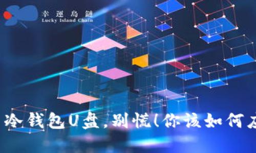 丢了冷钱包U盘，别慌！你该如何应对？