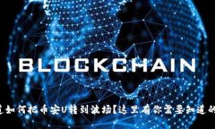 想知道如何把币安U转到波