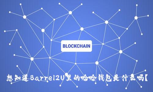 想知道Barrel2U里的哈哈钱包是什么吗？