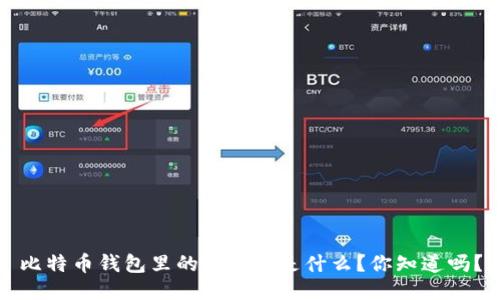 比特币钱包里的“零钱”是什么？你知道吗？
