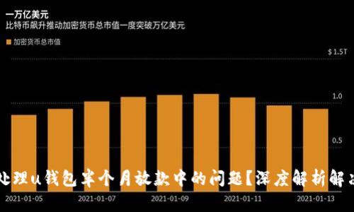 怎么处理u钱包半个月放款中的问题？深度解析解决方案