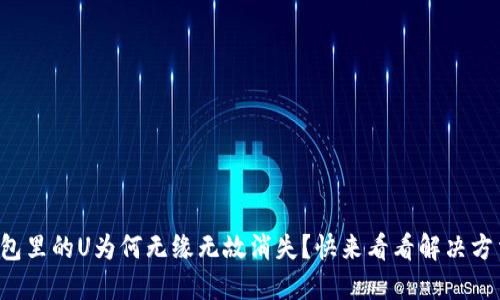 钱包里的U为何无缘无故消失？快来看看解决方法！