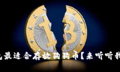哪个钱包最适合存放狗狗