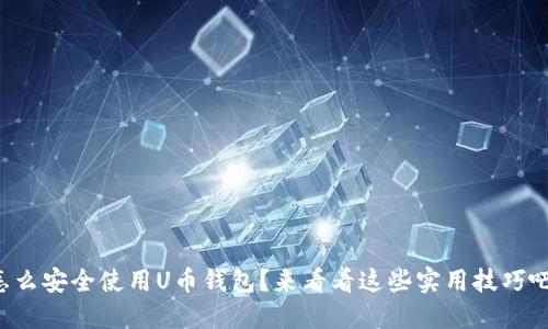 怎么安全使用U币钱包？来看看这些实用技巧吧！