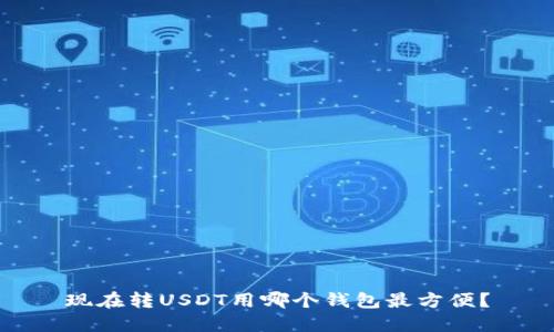 现在转USDT用哪个钱包最方便？