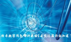 比特币数字钱包哪种更好