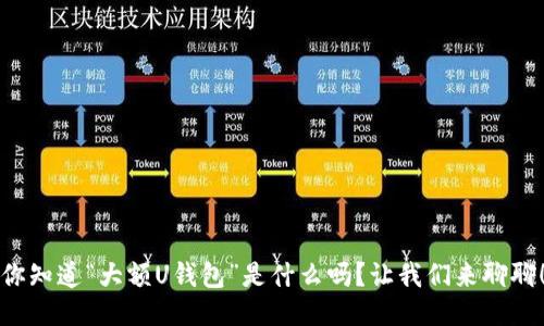 你知道“大额U钱包”是什么吗？让我们来聊聊！