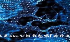 你知道什么是SOL公链钱包