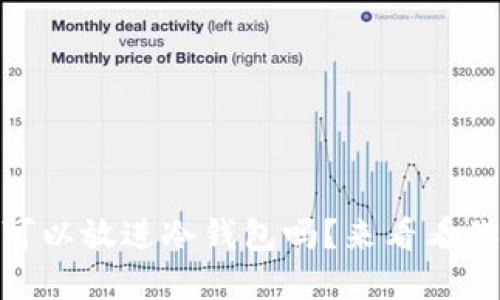 USDT币可以放进冷钱包吗？来看看你的选择！