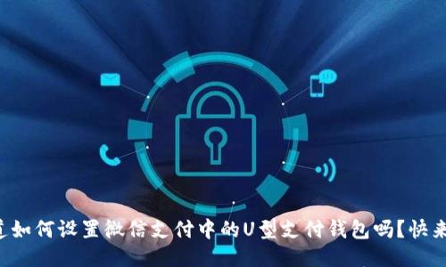 你知道如何设置微信支付中的U型支付钱包吗？快来看看！