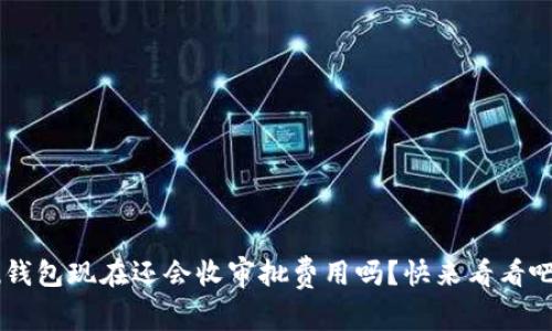 u钱包现在还会收审批费用吗？快来看看吧！