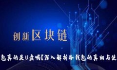 : 冷钱包真的是U盘吗？深