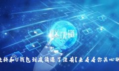 我来数科和U钱包到底清退