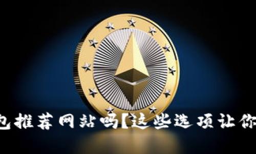你还在找比特币钱包推荐网站吗？这些选项让你的数字资产更安全！