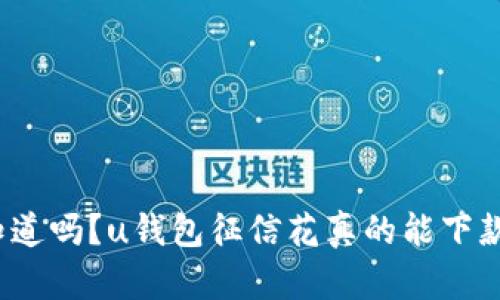 你知道吗？u钱包征信花真的能下款吗？
