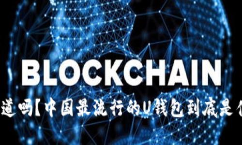 你知道吗？中国最流行的U钱包到底是什么？